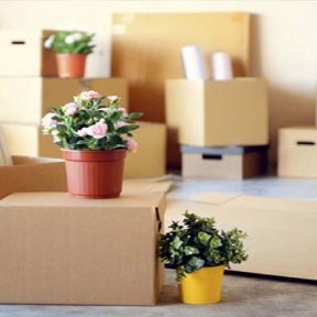 Local Shifting